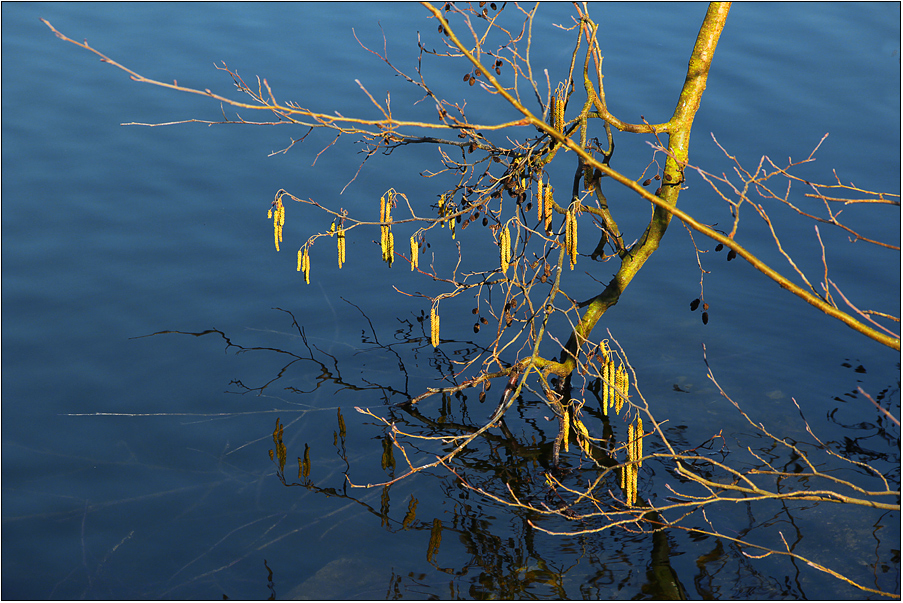 Frühling!