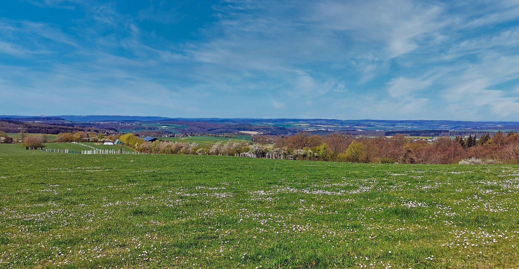 Frühling