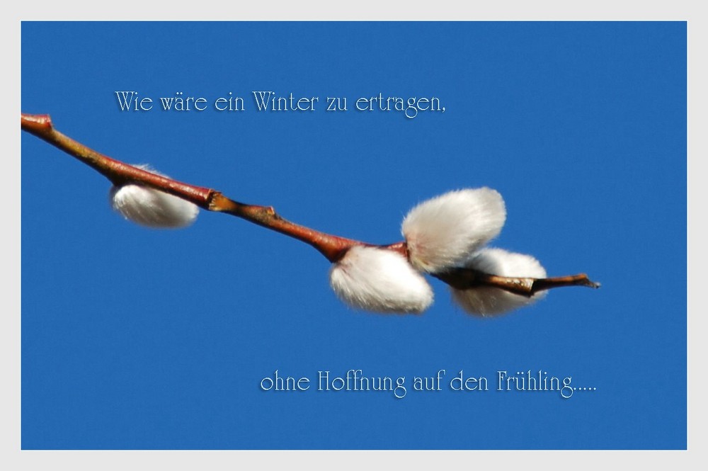 Frühling....