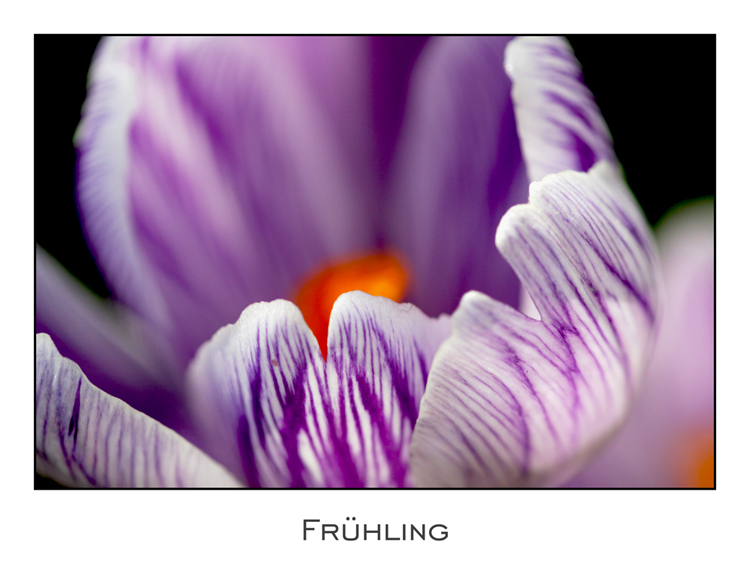 Frühling