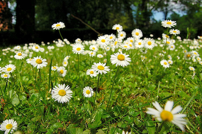 Frühling