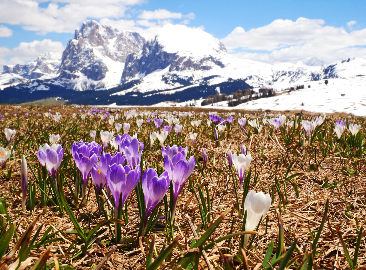 Frühling