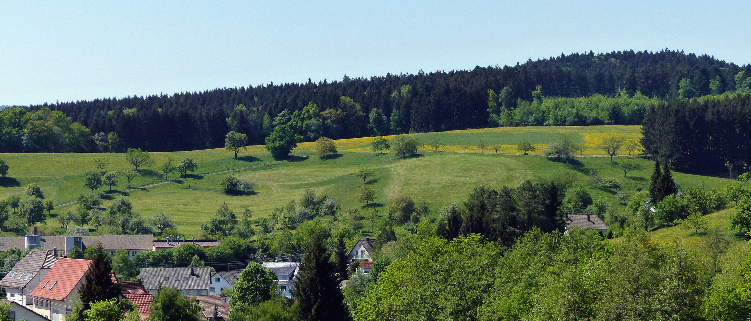 Frühling..... 