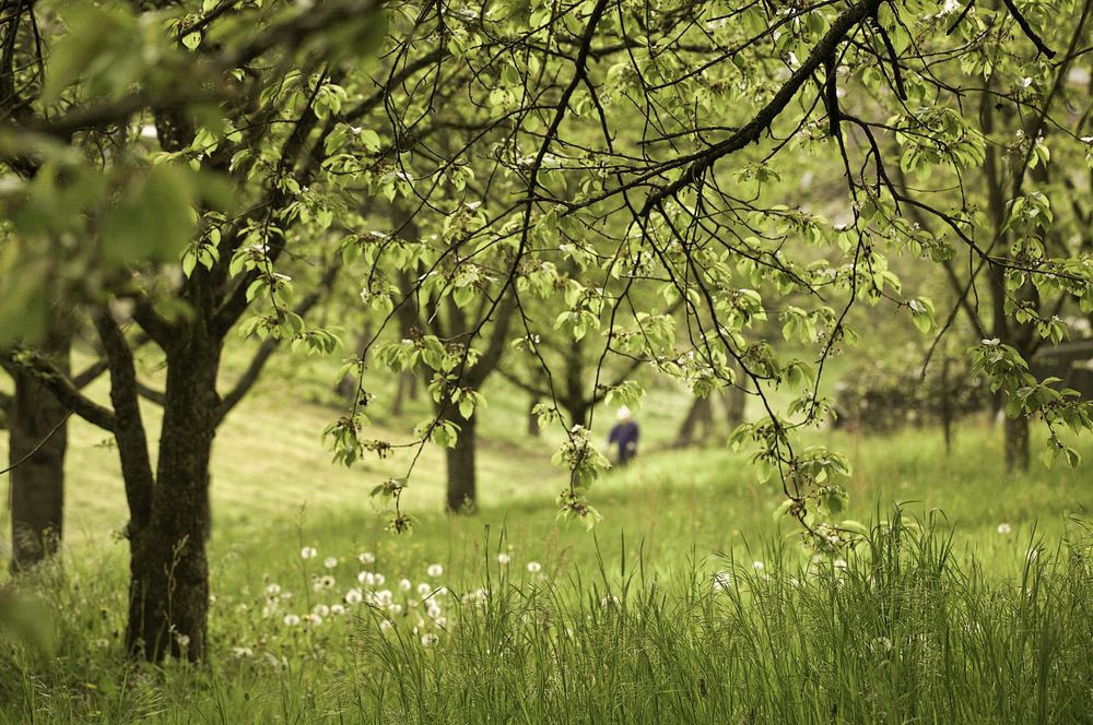 Frühling