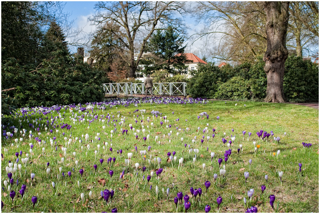 Frühling