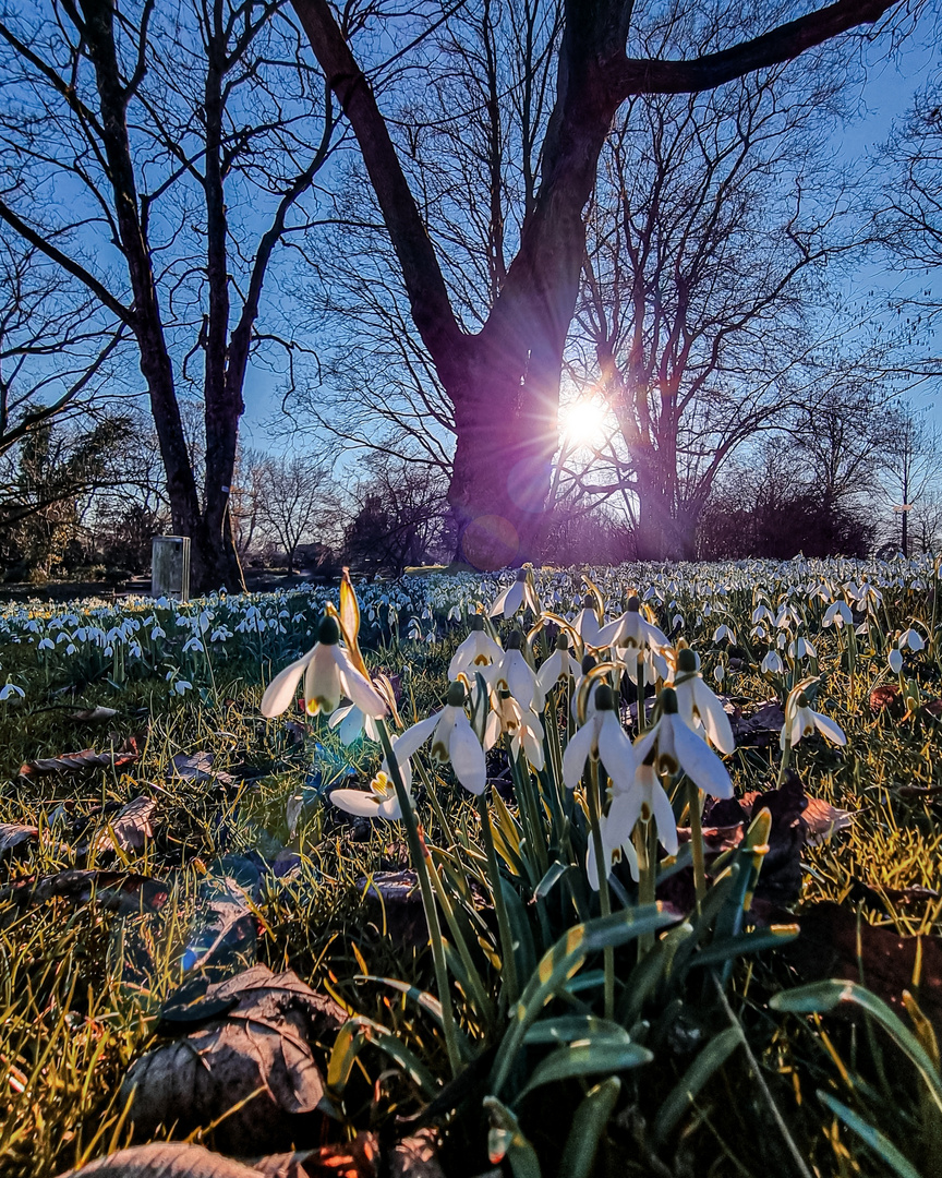 Frühling 