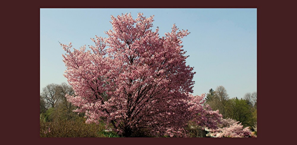 Frühling