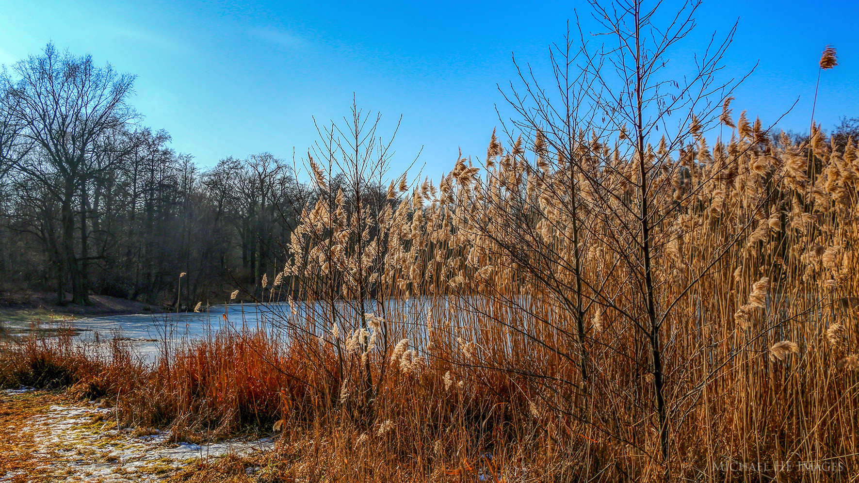 Frühling