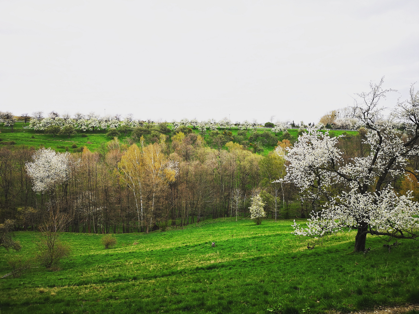 Frühling 