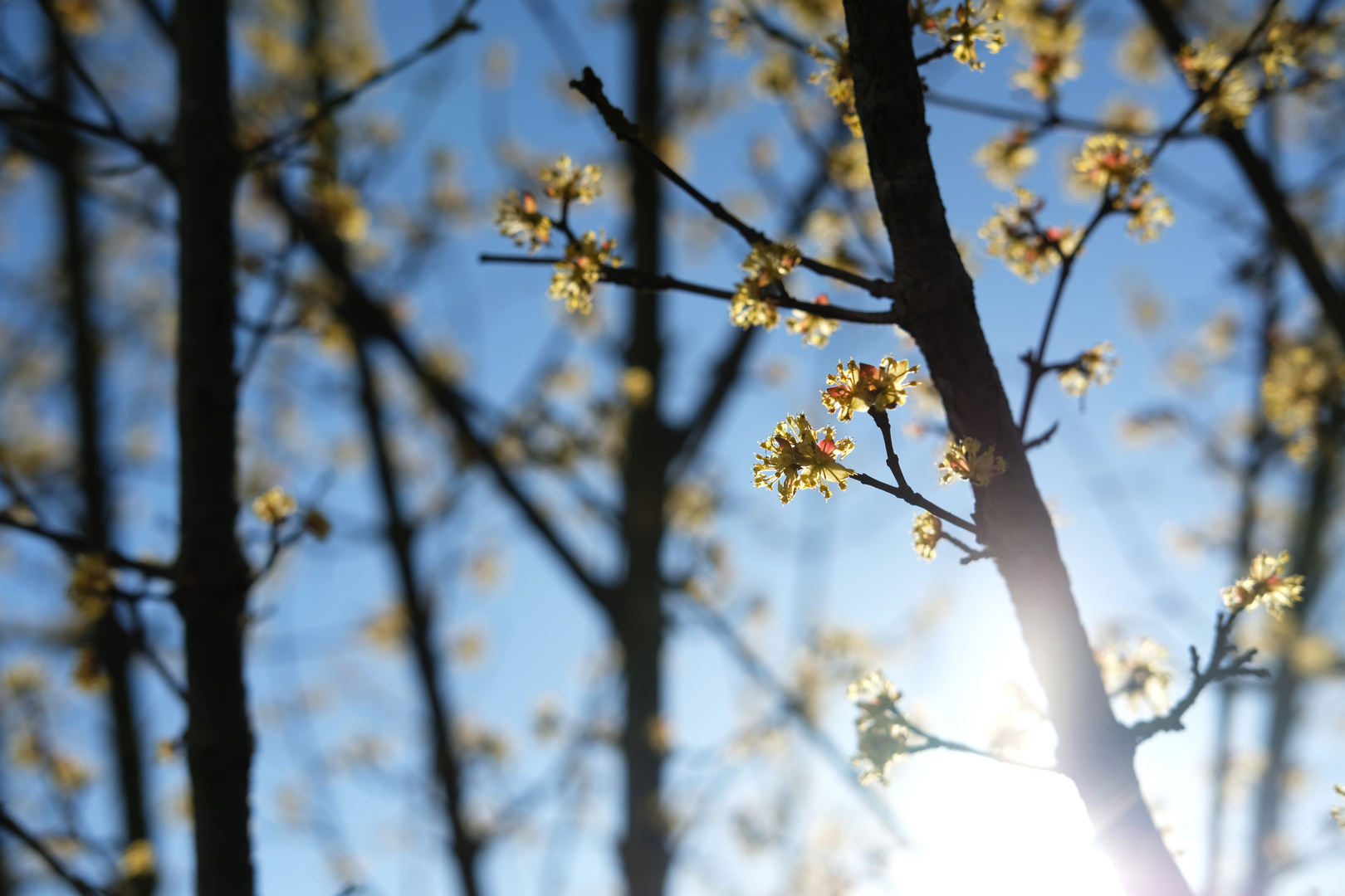 Frühling