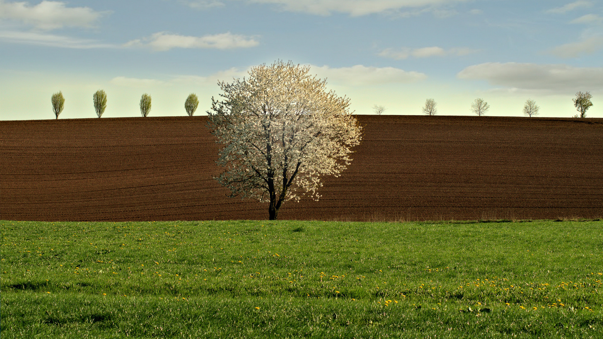 Frühling