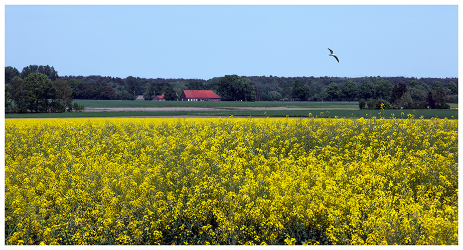 Frühling