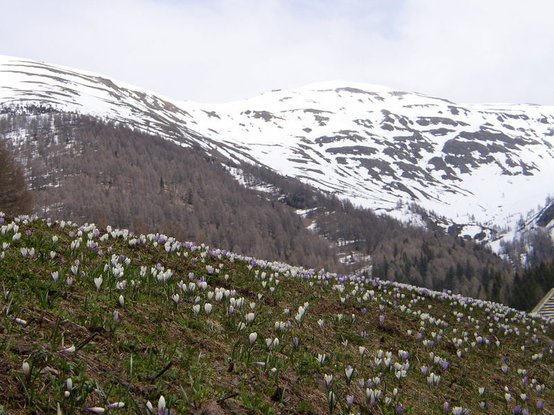 Frühling.