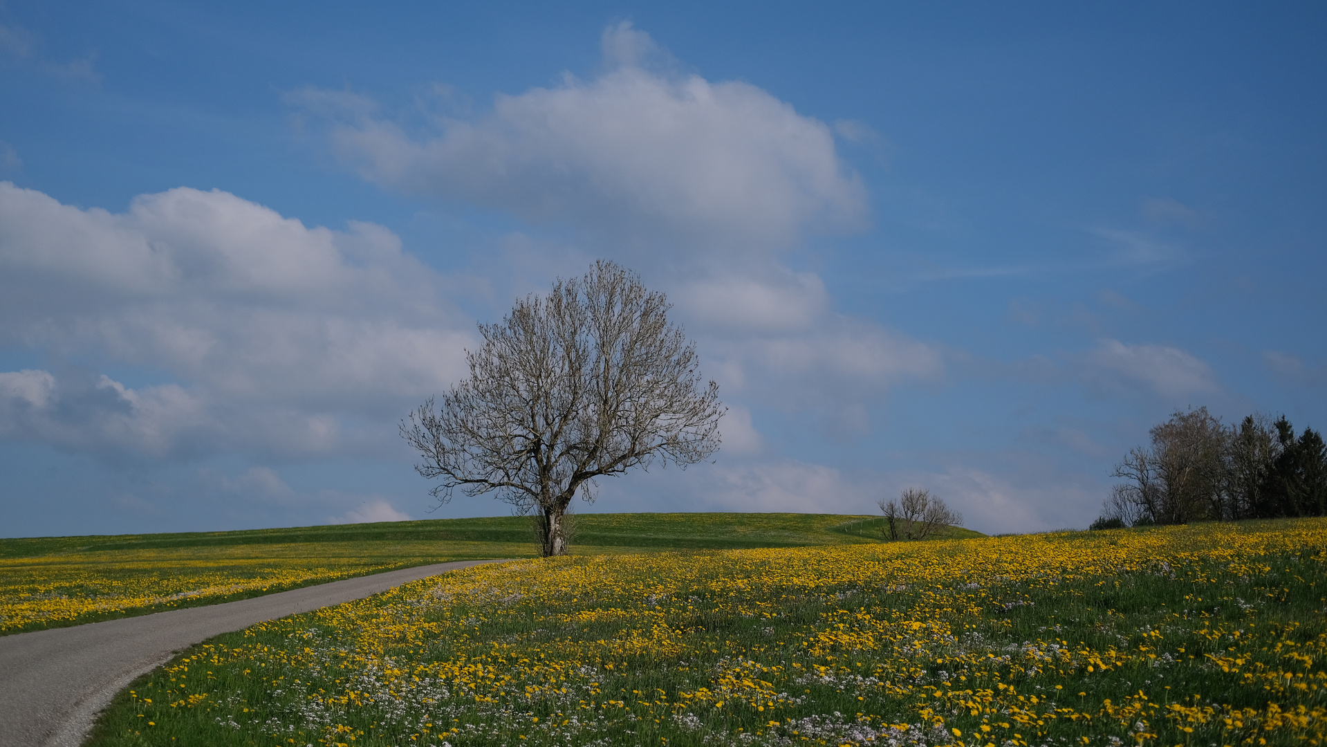 Frühling