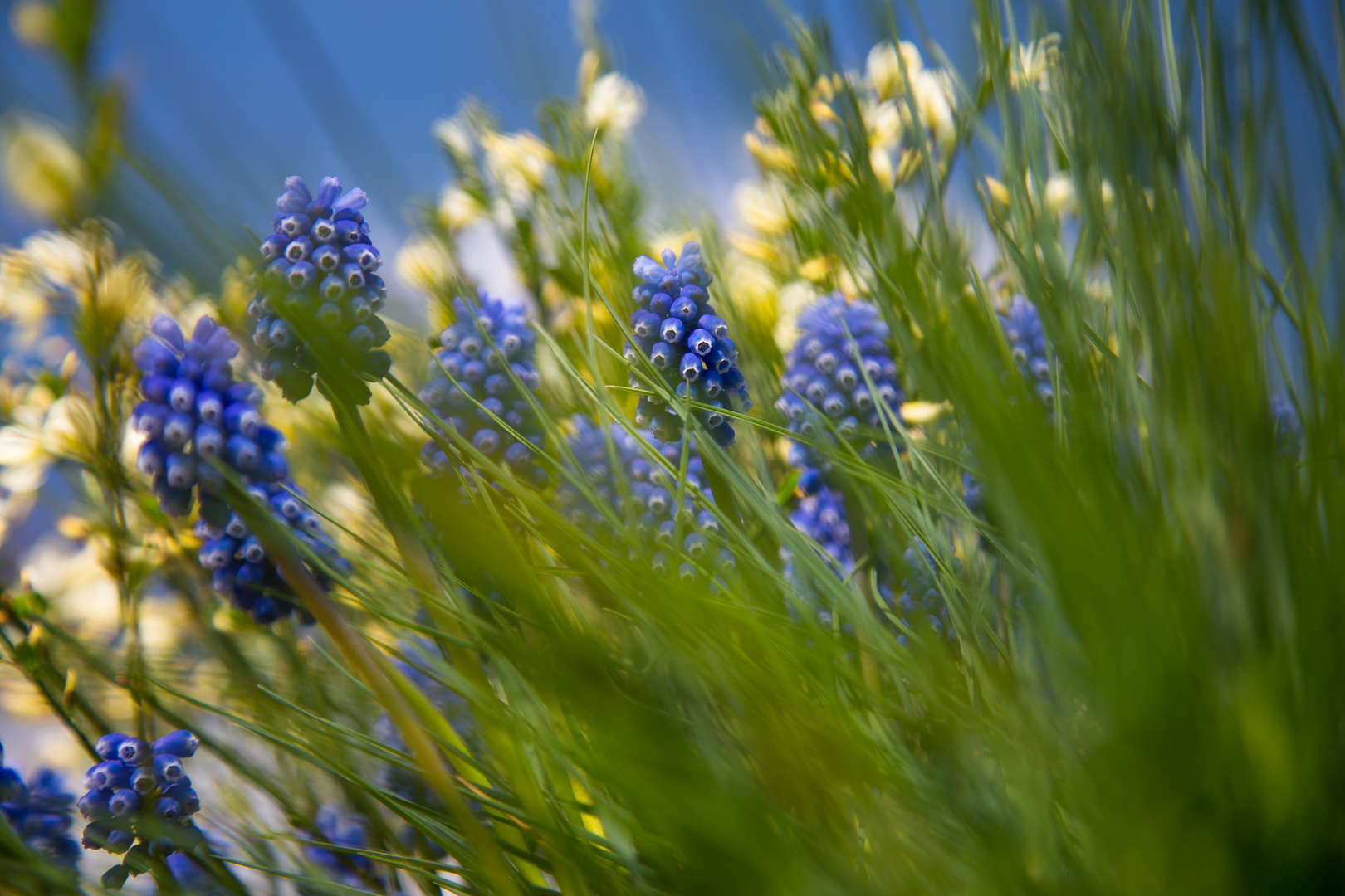 Frühling