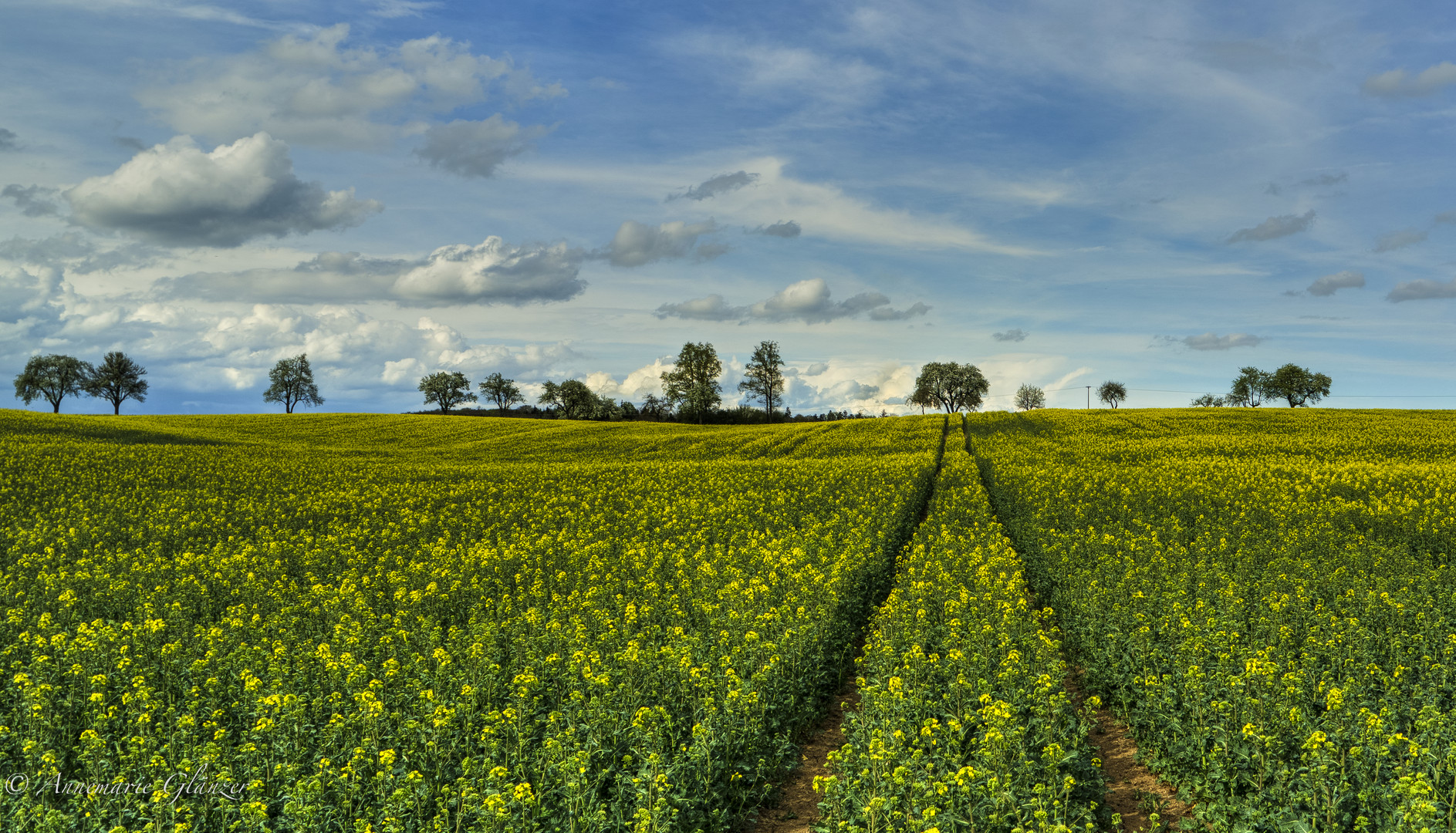 Frühling