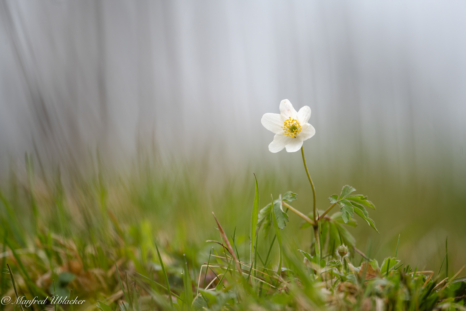 Frühling ...