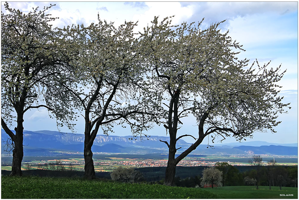 Frühling