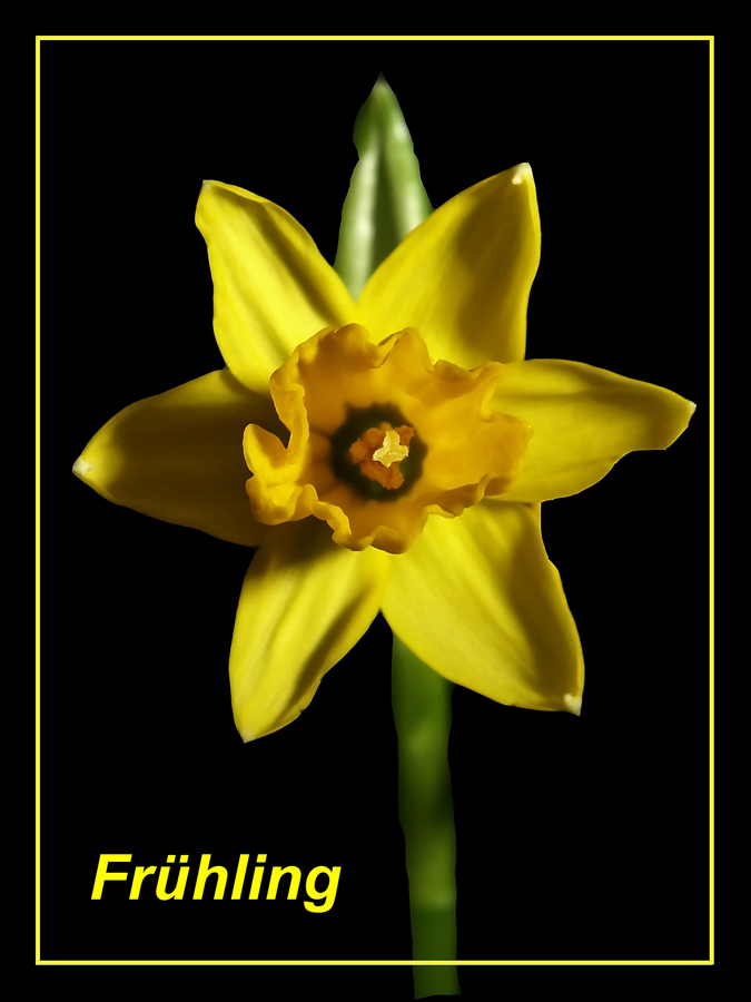 Frühling