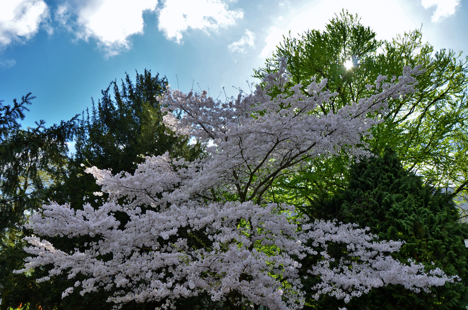 Frühling