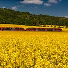 ... Frühling ...