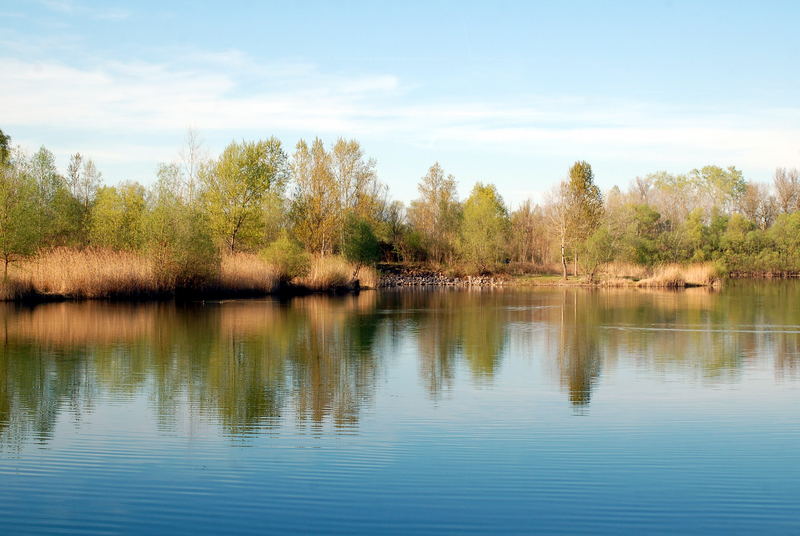 Frühling