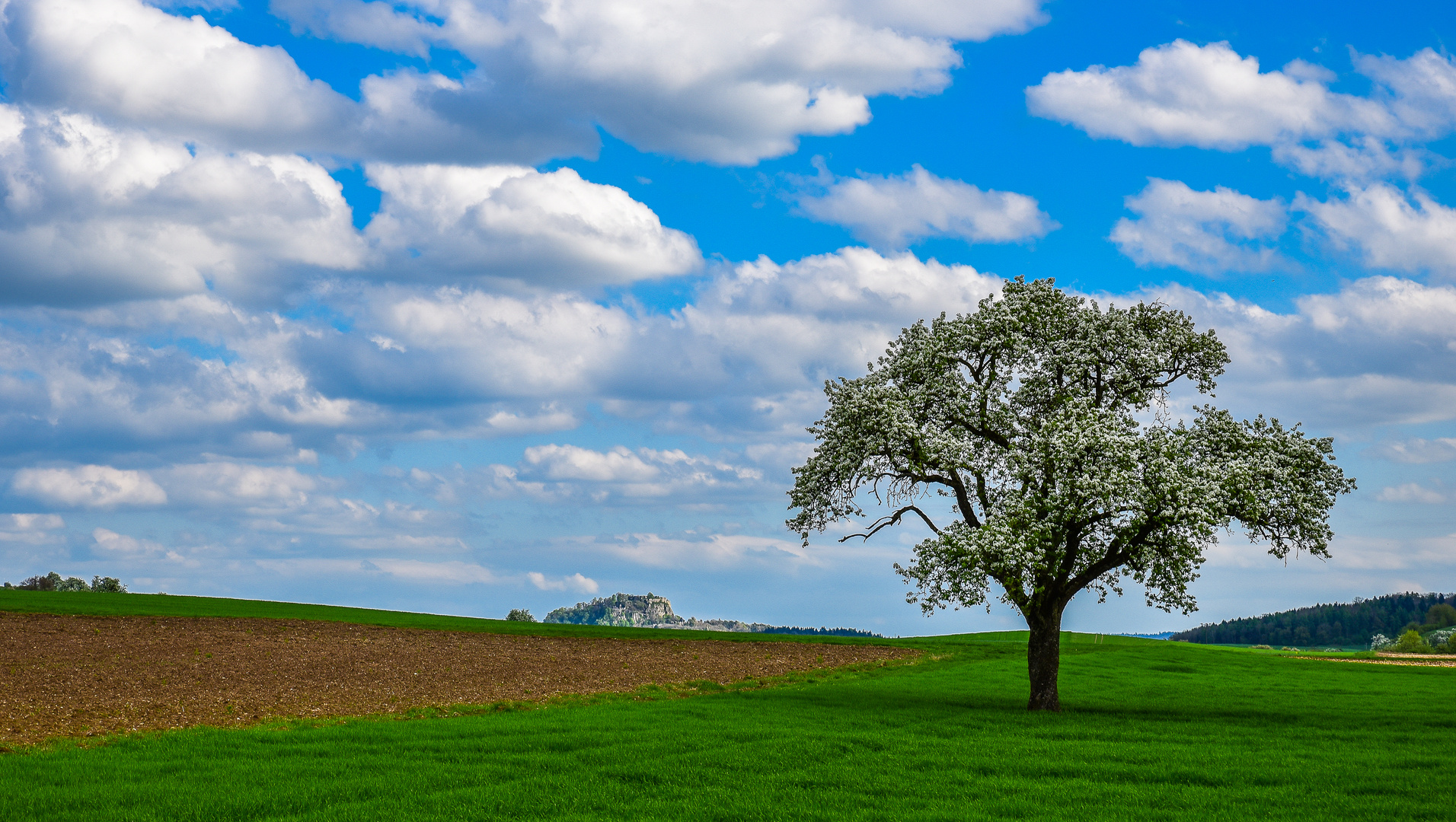 Frühling