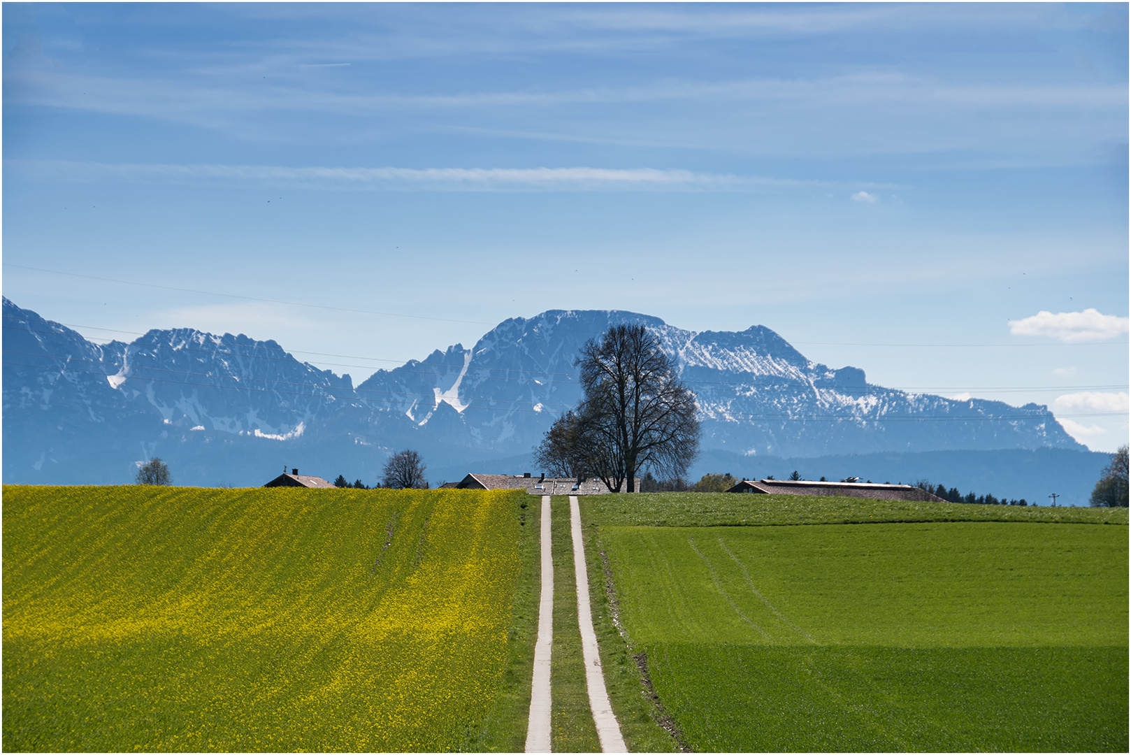 Frühling