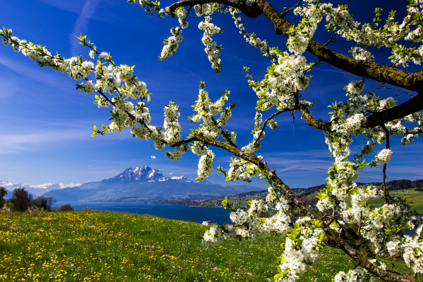 Frühling