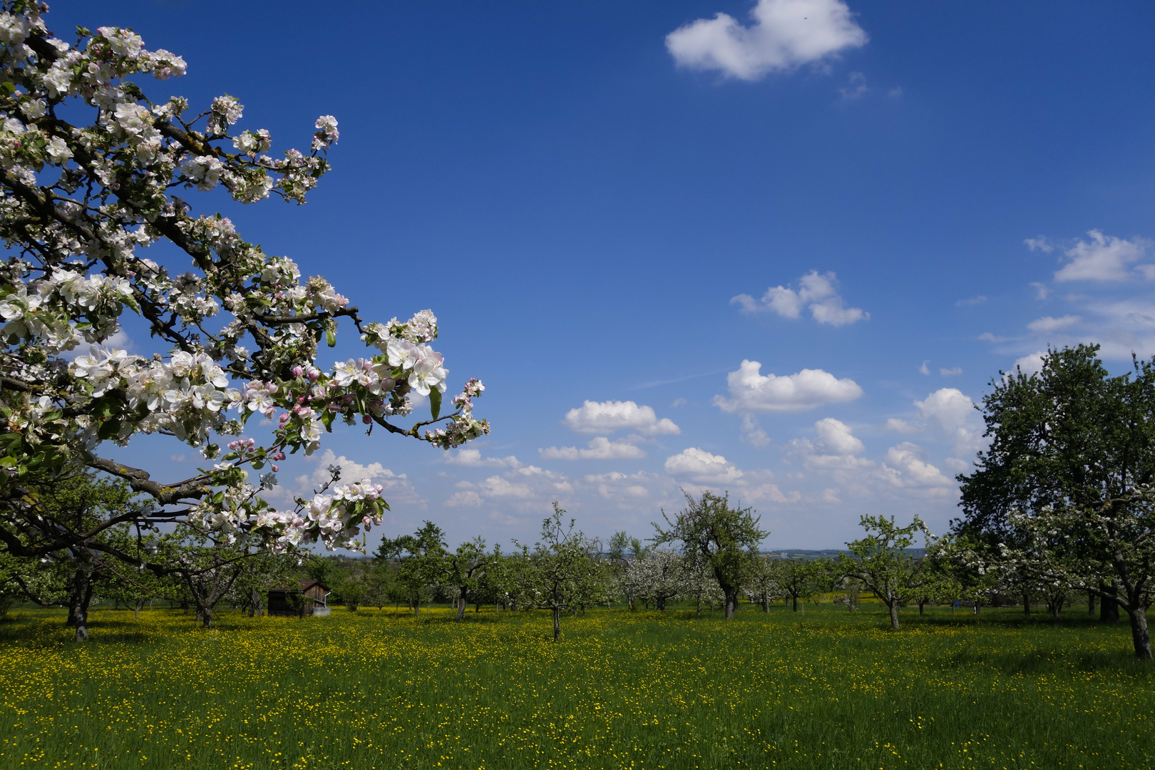 Frühling