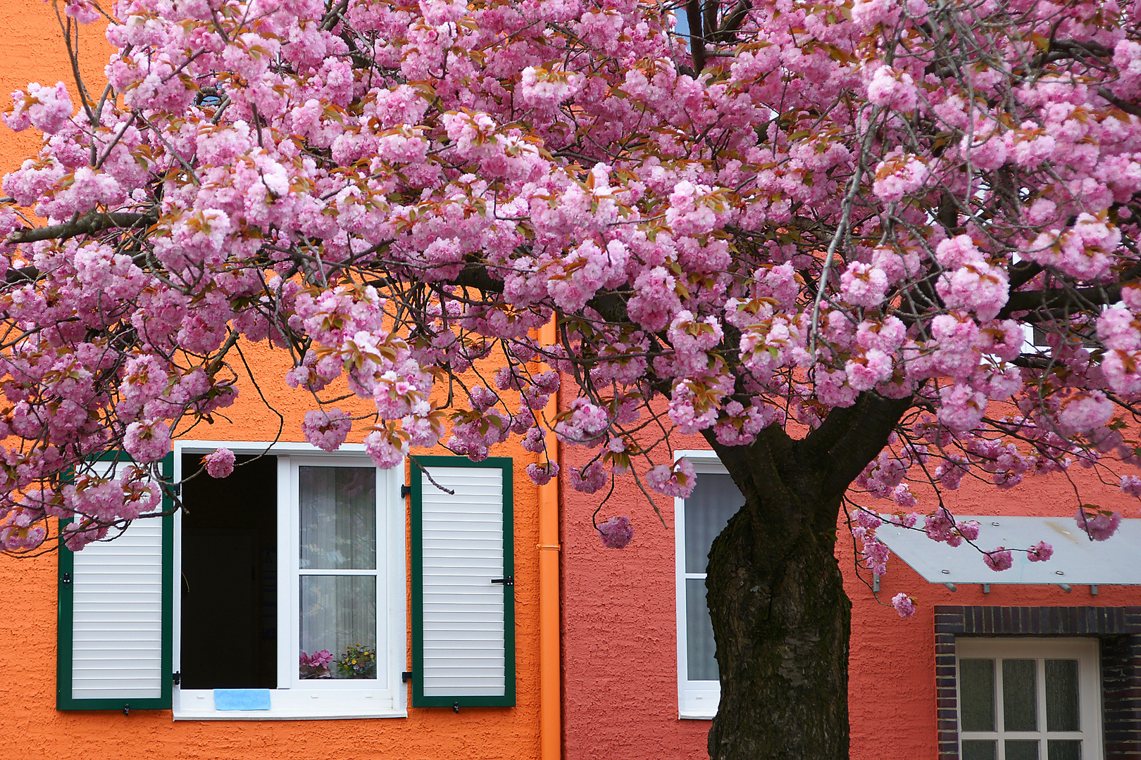 Frühling.