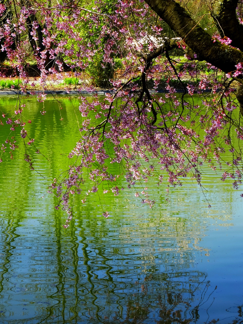 Frühling