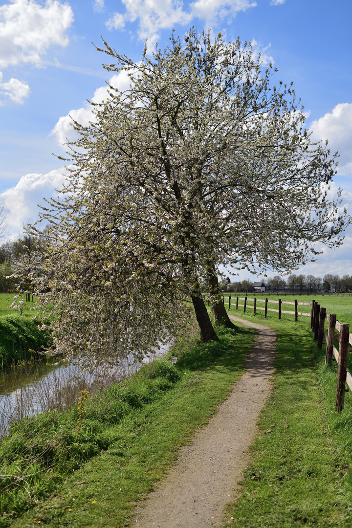 Frühling