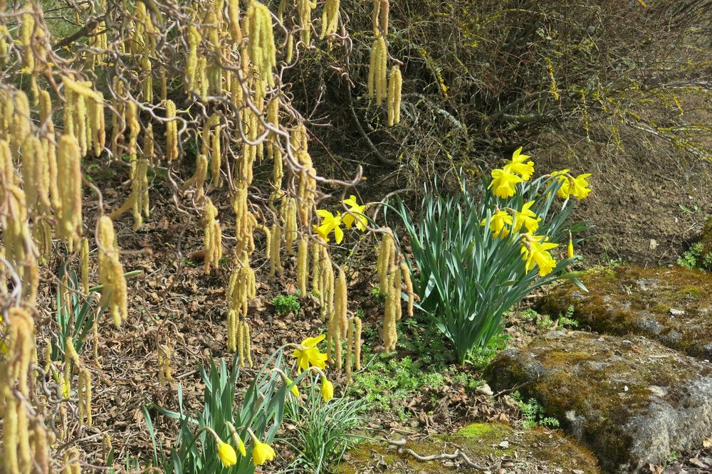 Frühling