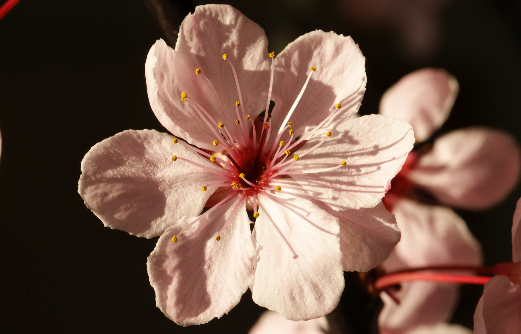 Frühling!