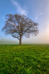 Frühling