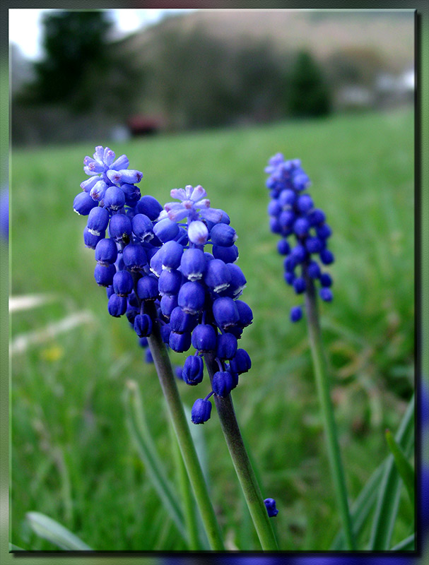 Frühling