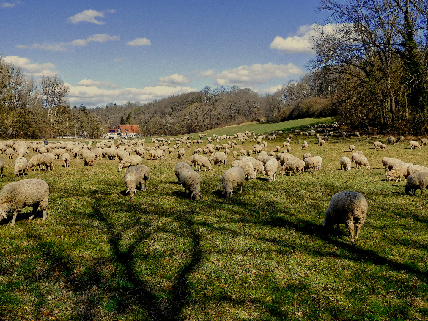 FRÜHLING