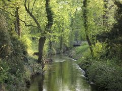 Frühling