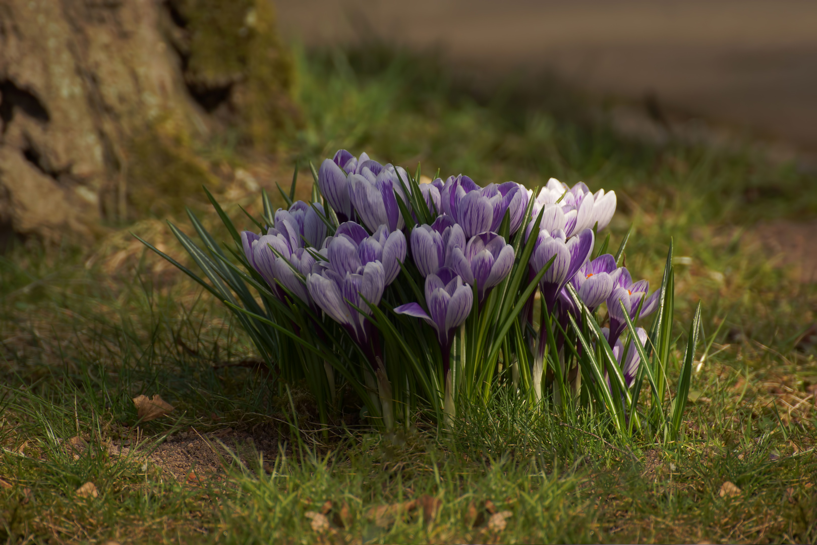 Frühling