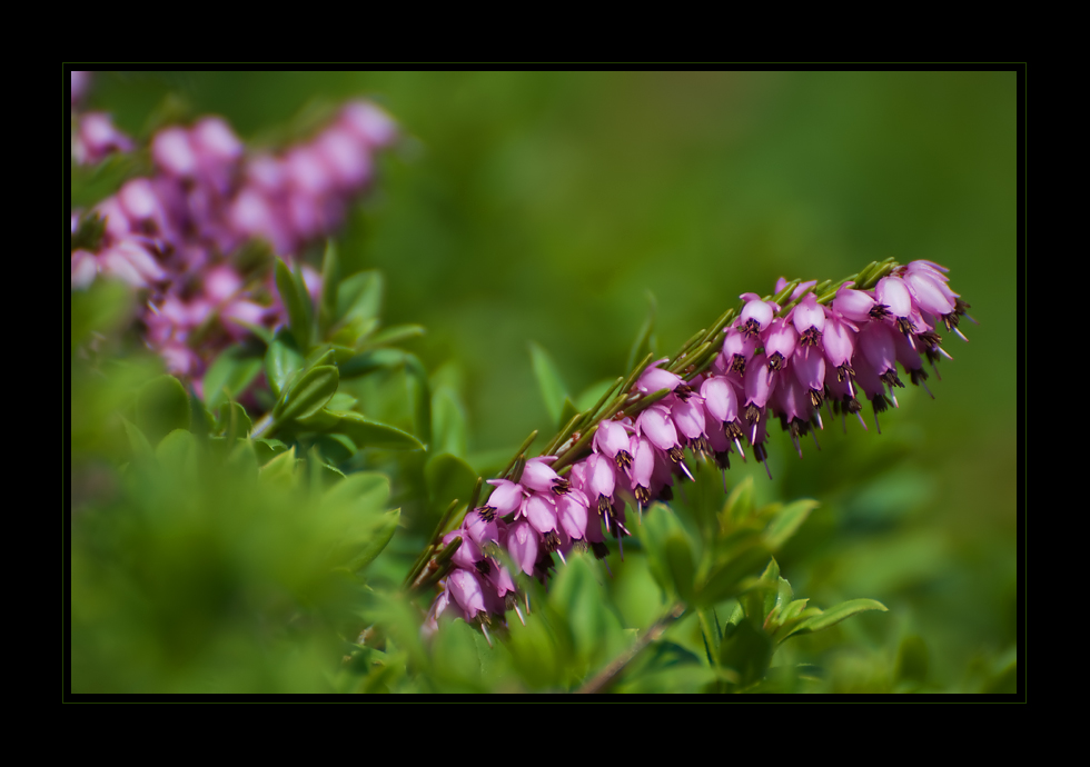 Frühling