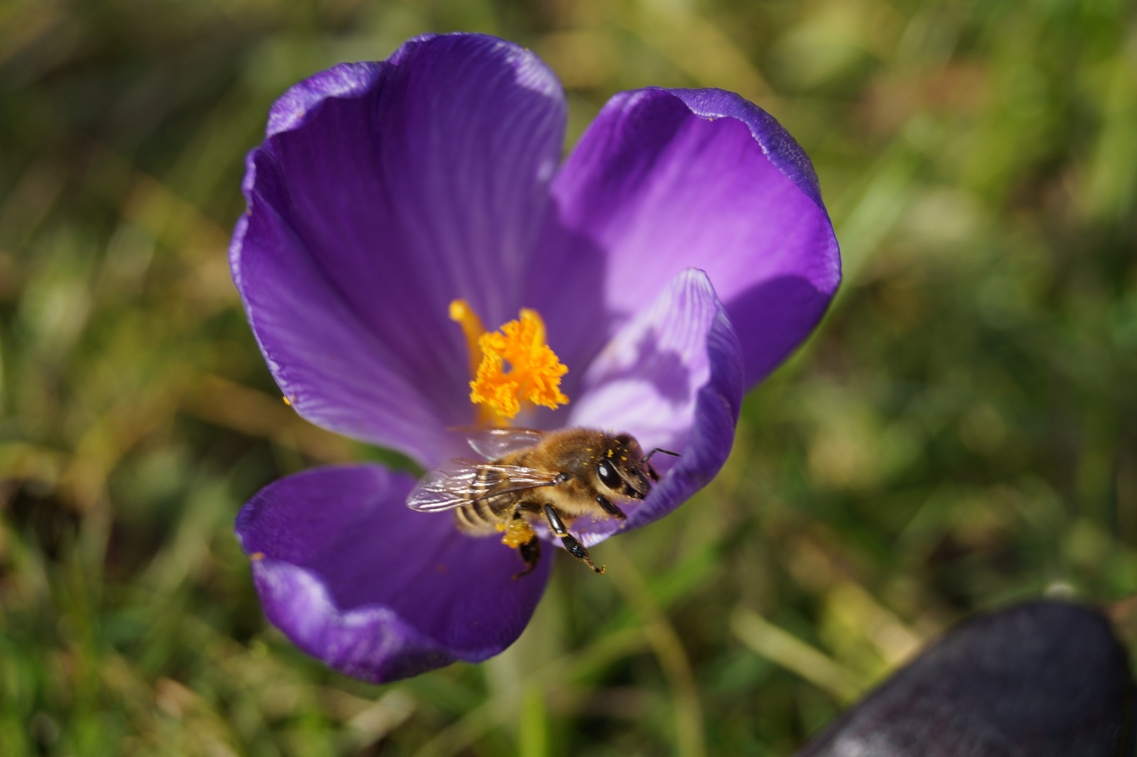 Frühling