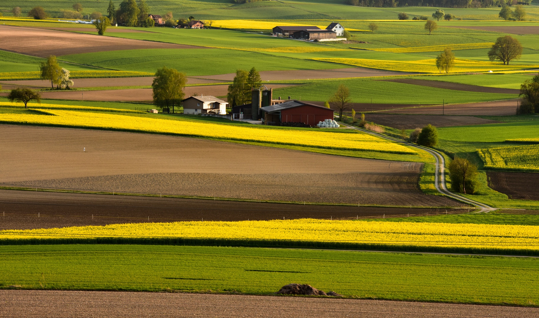 Frühling