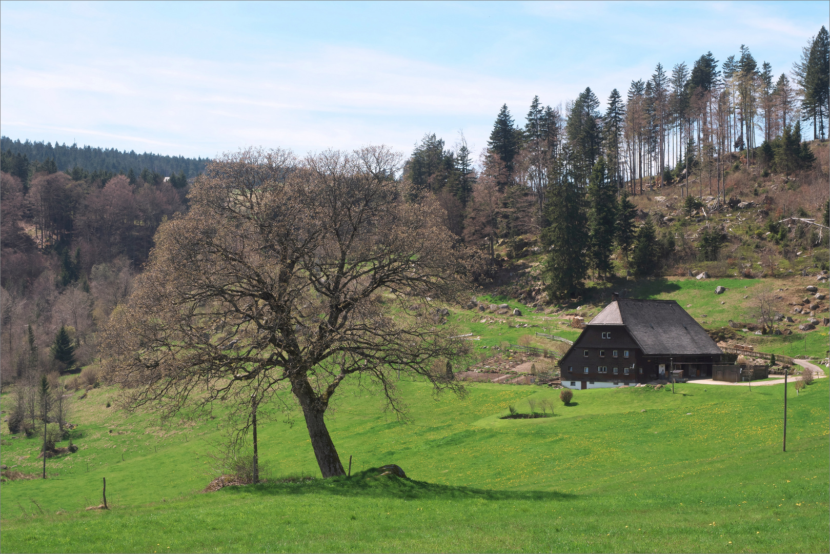 Frühling ?