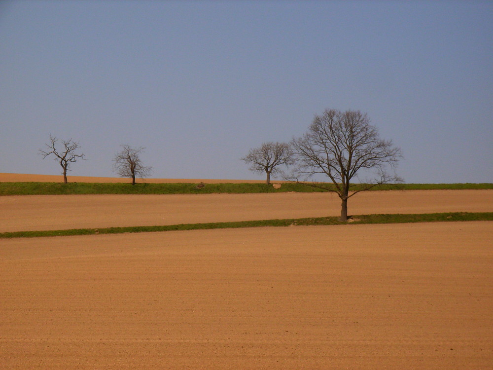 Frühling