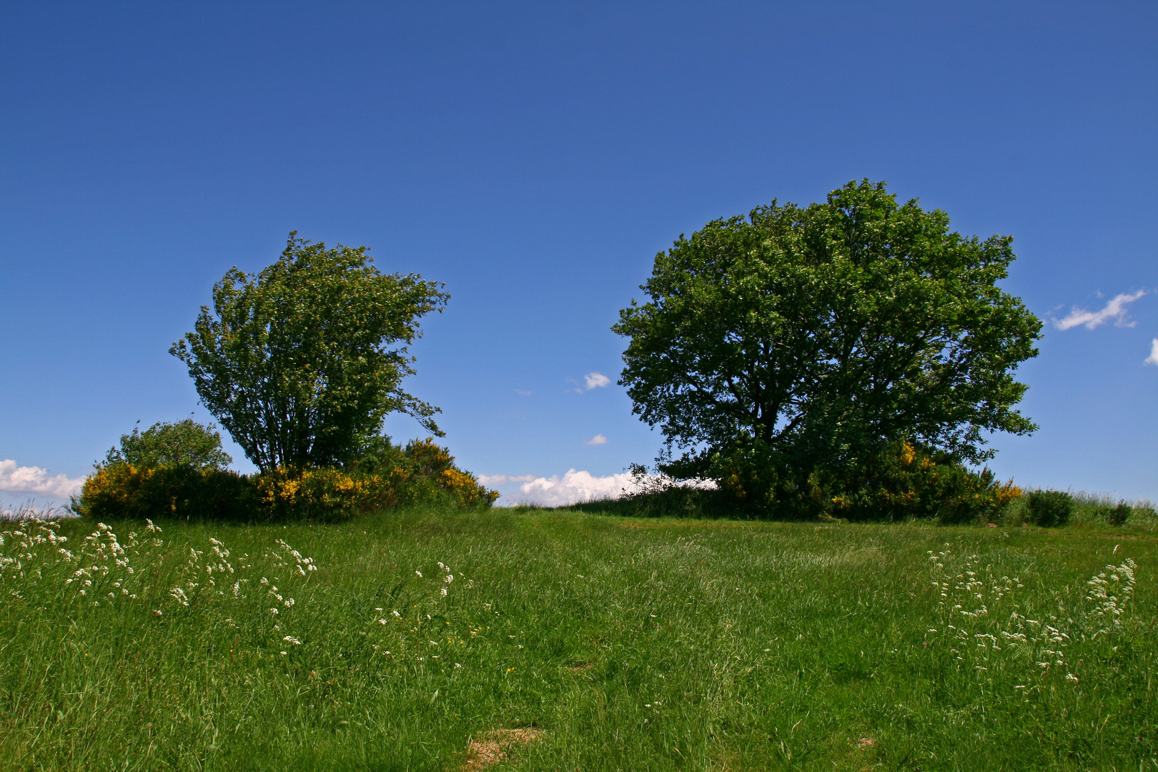 Frühling