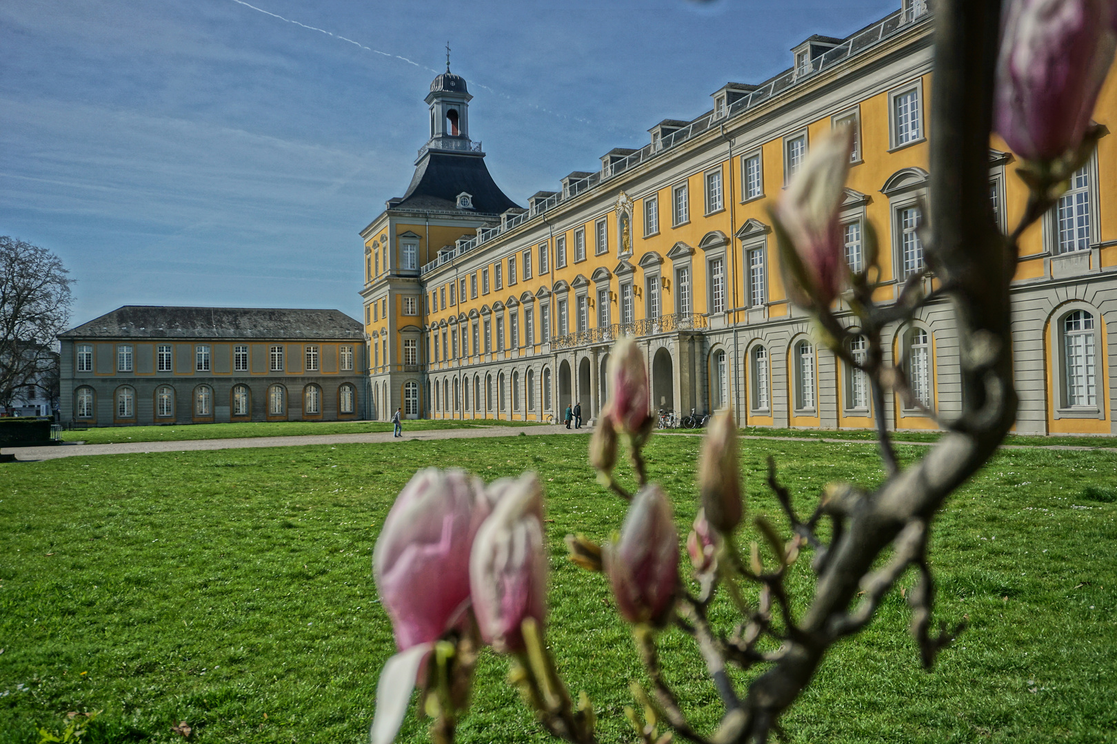 Frühling