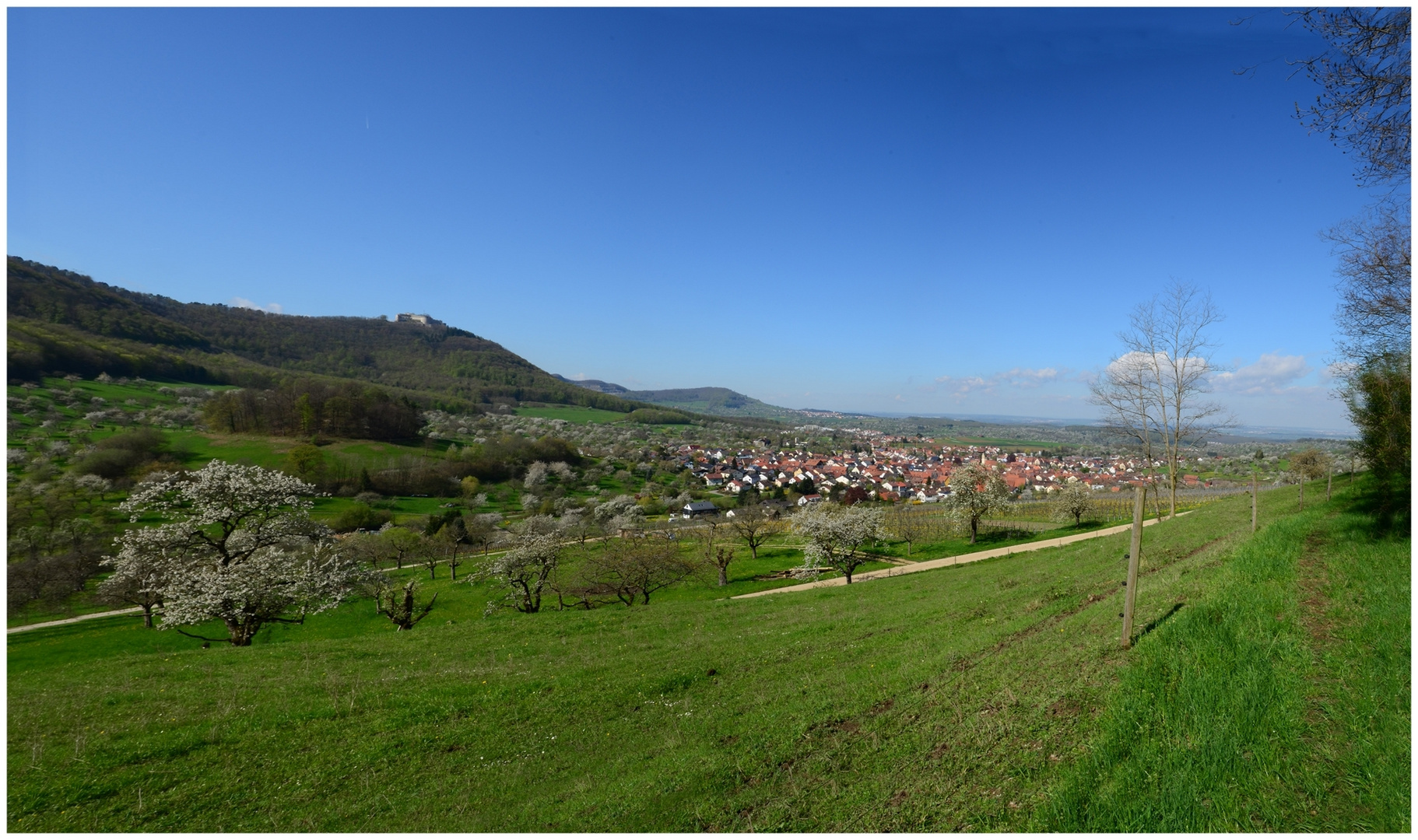 Frühling