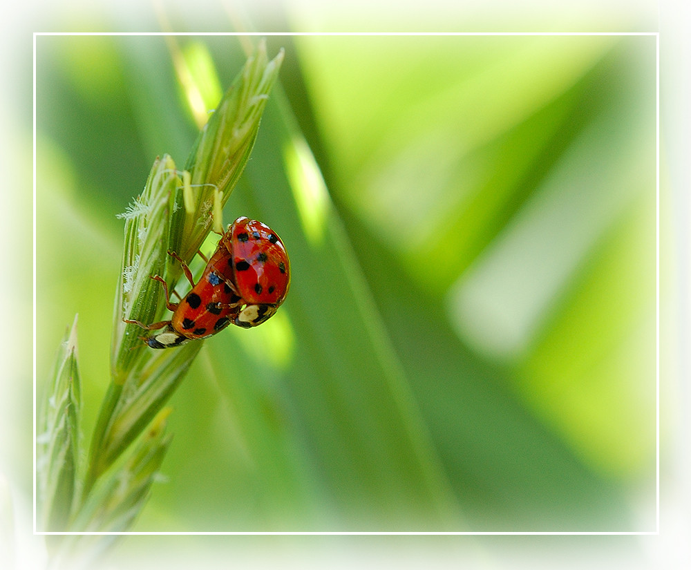 Frühling ;-)