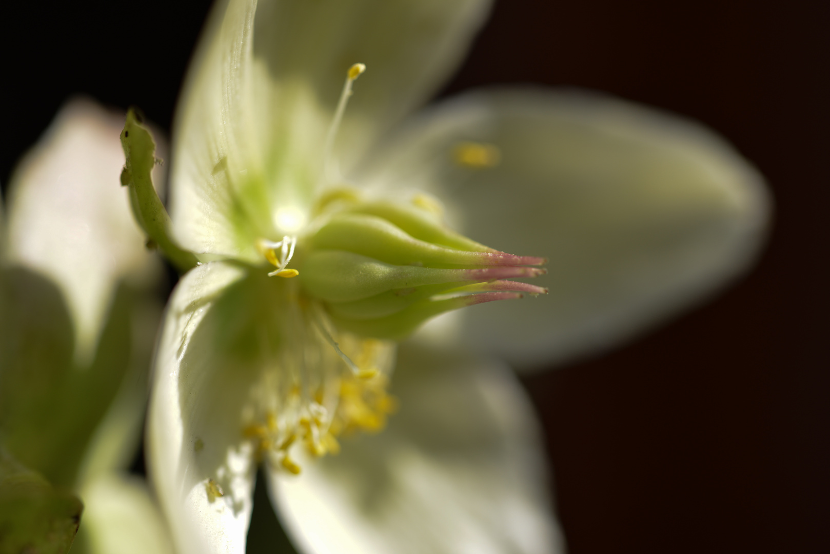 Frühling